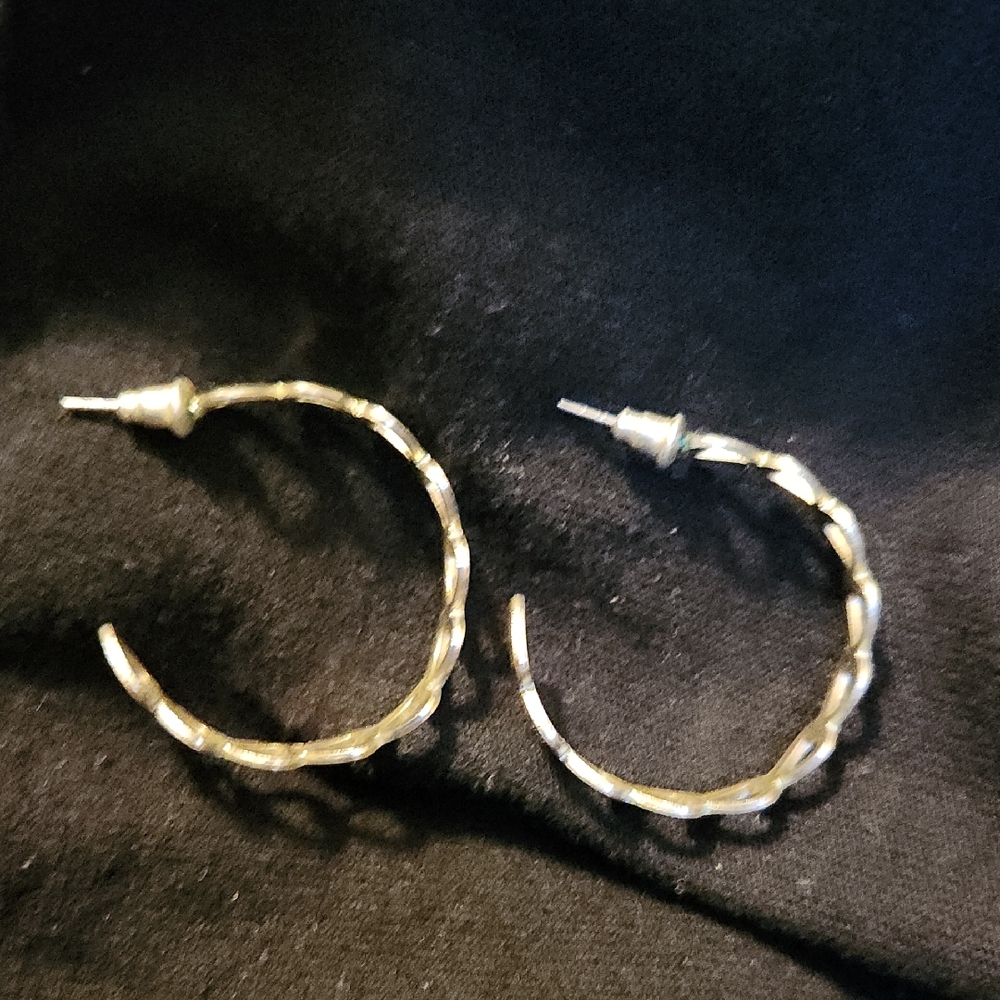 Elegant Gold Hoop Earrings